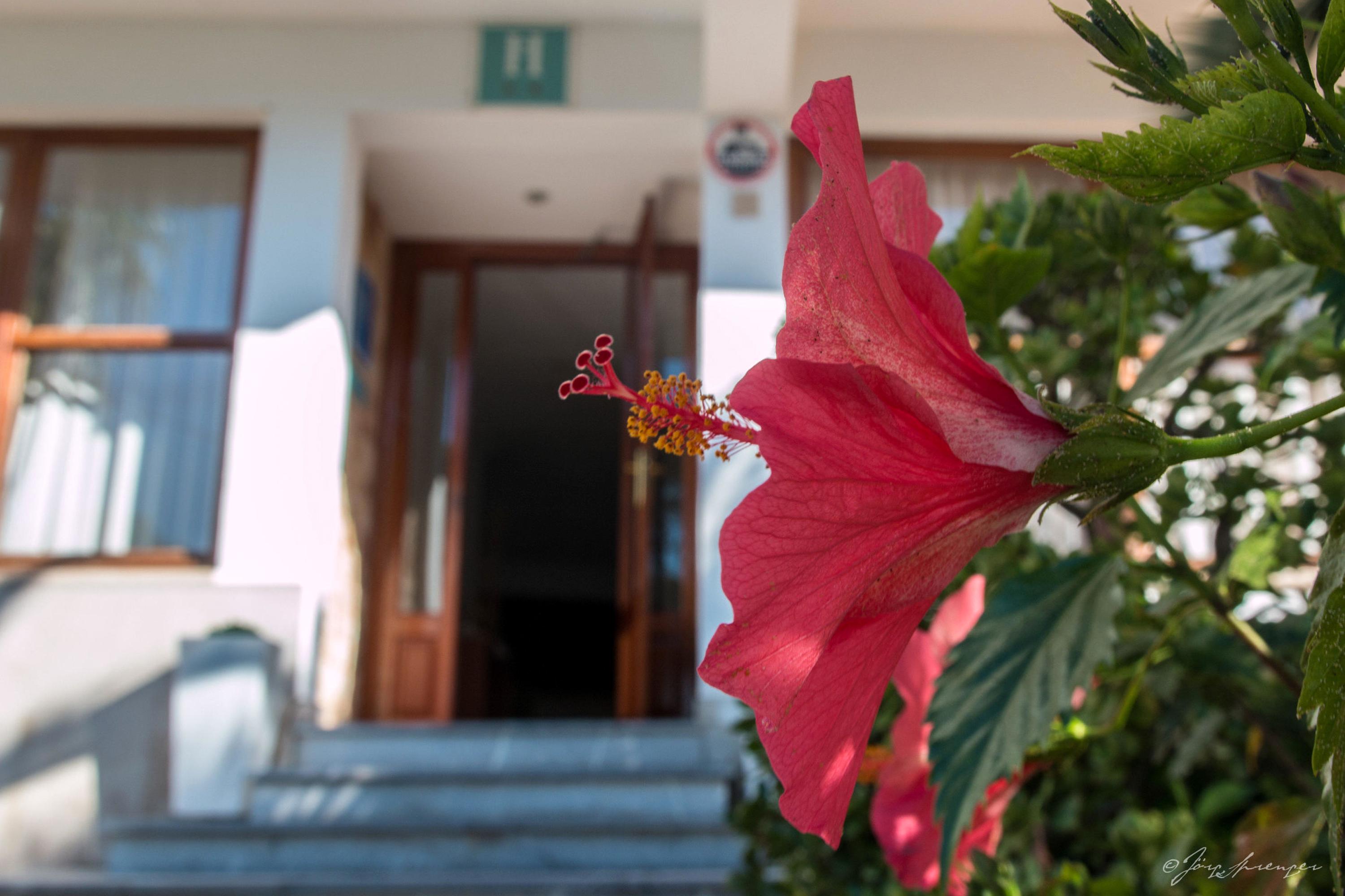 Hotel Santanyi Port Cala Figuera  Exterior foto